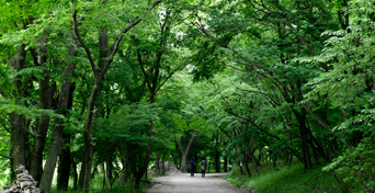 선운산도립공원